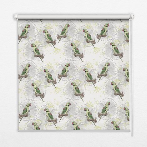 Tenda a Rullo Interna per Finestra - Tenda Filtrante Luce - Tenda Privacy - Tenda Decorativa Rettangolare - Rullo per Interni - (100 cm x 100 cm) - Pappagalli su un ramo