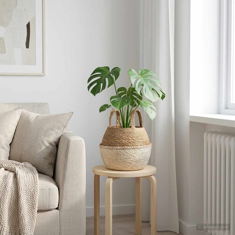 vidaXL Vaso da fiori con manici Bianco Ø 22 x 20 cm 100% Erba