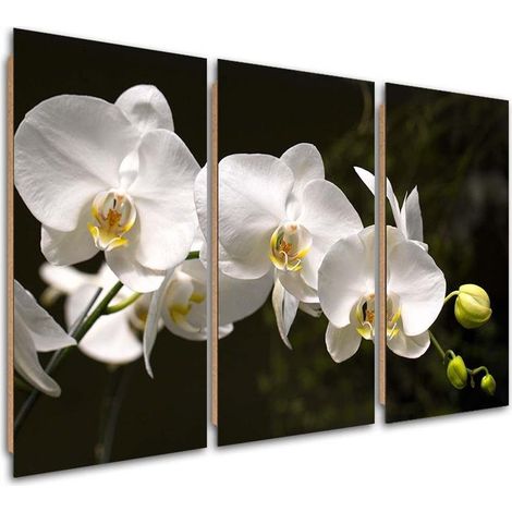 Quadro deco panel 3 parti, Orchidea bianca su sfondo nero - 60x40 (1/5)