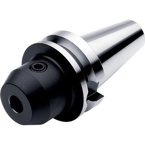 Weldon-Schaftfräserhalter ISO BT.40ADB-W.32.065 D.32mm PRAMET (1/2)