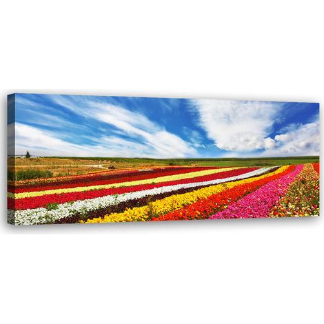 Tableau sur toile Champ de tulipes colorées 90x30 (1/5)