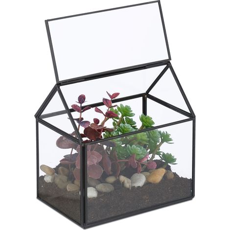 Relaxdays Terrario Piante, Mini Serra in Vetro e Rame, HLP 15x15x10 cm, Piantine Grasse e Muschi, Vaso Ecosistema, Nero (1/5)
