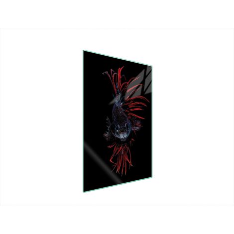 Glasschneidebrett 35x52 Fisch (1/5)