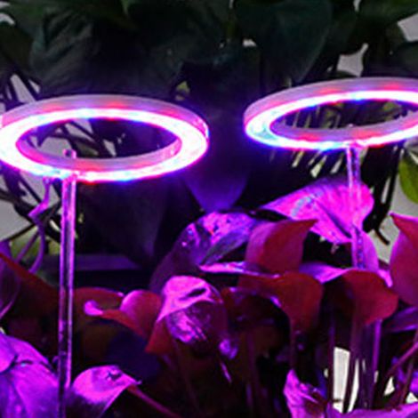 Lampe de croissance LED à spectre complet pour plantes avec minuterie, 5 niveaux de gradation, lampe d'appoint USB pour plantes, lampe d'appoint pour serres de plantes succulentes, lumière rouge et bl (1/5)