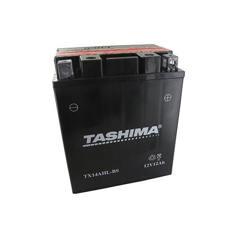 Hochleistungs-Wasserfeste Blei-Batterie, wartungsfrei, 12V, 12Ah. Maße: L: 134 mm, B: 89 mm, H: 166 mm, + rechts für Motorräder, Jet-Ski, Motoren