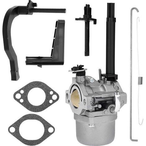 Carburateur Adapté Souffleuse Neige P25 – Modèles 591378, 699966, 699958, 796321, 696132 (1/4)