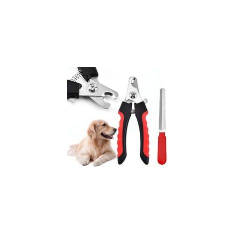 Rouge-Coupe-Griffes pour Chien et Chat Pince à Ongles coupante avec Lime à Ongles - pour l'entretien des Griffes pour Les Petits, Moyens Chiens, Chats, Lapins, cochons d'Inde (1/5)