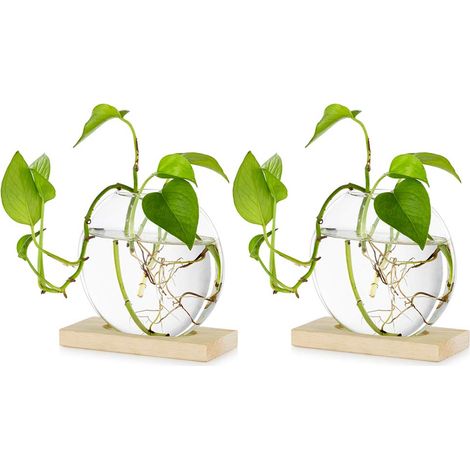 Jardinière en Verre à Suspendre De Table Pcs De 2 Station De Propagation Vase à Bouton De Fleur Moderne en Support en Bois pour Plantes Hydroponiques Boutures (1/5)