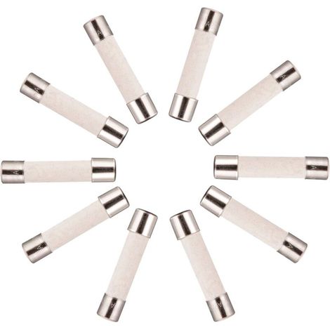 10x Fusible Temporisé (T) en céramique 10A / 250VAC 5x20mm (1/4)