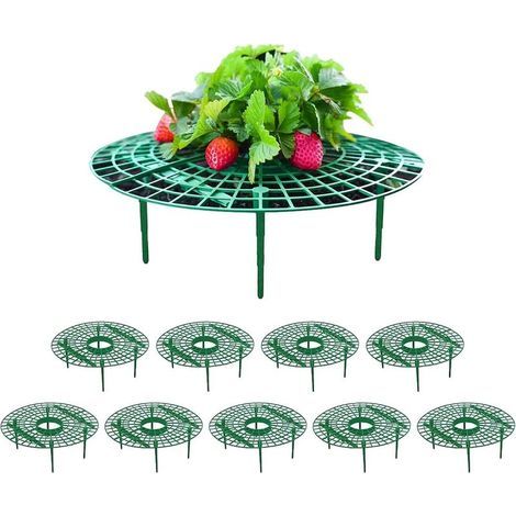 10 Pièces Support de Fraisier Supports pour Plantes Fraise, Supports de Plantation pour Fruits en Plastique Amovible Plateau Cadre de Support pour Serre et Plantes en Pot (1/5)