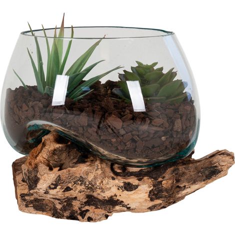 Terrario San Marino in vetro sferico su base in radice di teak 15x15x15 cm