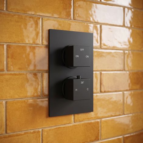 Signature Advance Thermostatic 2 Outlet Concealed Shower Valve Dual Handle - Matt Black (1/3)