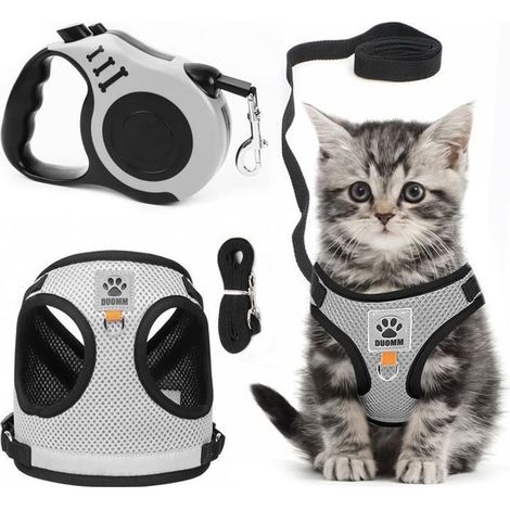 Ensemble harnais et laisse pour chat - Harnais anti-éclatement - Réglable, doux, sûr et respirant, taille S 5 m (1/5)