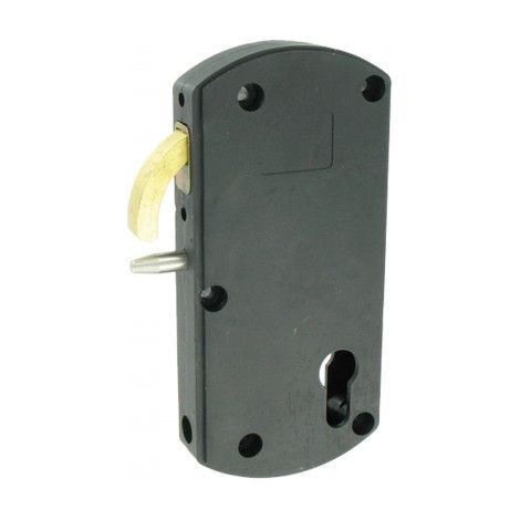 Serrure portail en applique à mentonnet - polyamide noir - Modulox GB - TIRARD