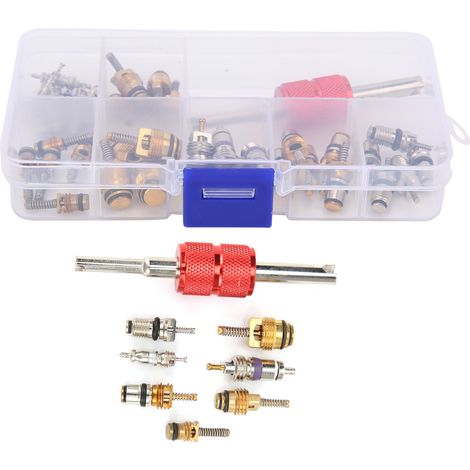 Vanne DE Conditionneur DE Voiture 40pcs avec Outil Dissolvant 5101791AA / 5189373AA SHAPPLACEMENT POUR CONDUCTION COREA COREA/C COREMT0301409504A / C VALVE REMPLACE409363 VÉHICULE VÉHICULE. (1/5)
