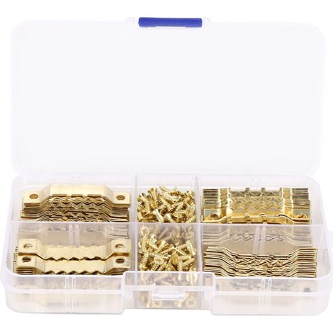 WJ-30021 100 crochets de suspension double face en dents de scie pour cadres photo, 200 vis incluses (1/5)