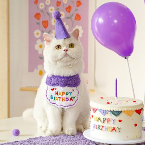 1 bavoir déguisement d'anniversaire pour chien ou chat - Bavoirs assortis mignons pour tous les jours - Chapeau en feutrine (1/4)