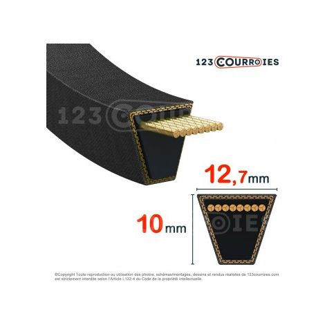 Courroie section 12,7x10 1272Lp Z22208