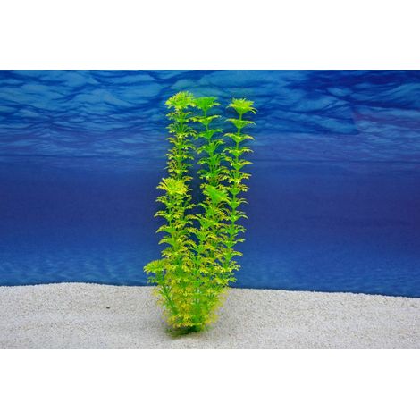 Amtra Cabomba L 29cm – Künstliche Pflanze für Aquarien-Dekoration