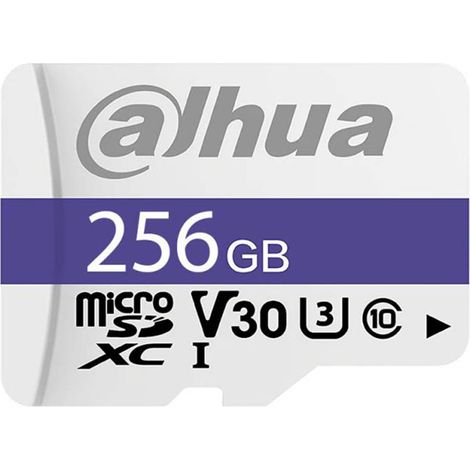 Carte microSD Dahua P100 256 Go, lecture 100 MB/s, V30