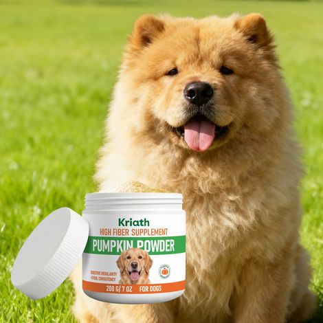 Poudre de citrouille pour chiens : formule douce pour compléter l'alimentation, réguler la santé intestinale et protéger le système digestif de votre chien – 200 g (1/5)