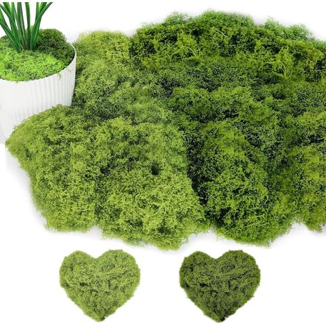 Mousse Artificielle - 100g - Mélange Vert Naturel - Décoration Réaliste - Bricolage et Composition Florale (1/5)
