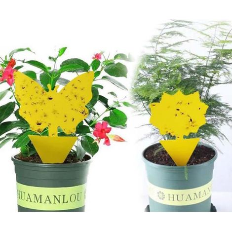 Piège À Insectes Collant - Double Face Jaune - Pour Cuisine Jardin Intérieur Extérieur - 20 Pièces (1/4)