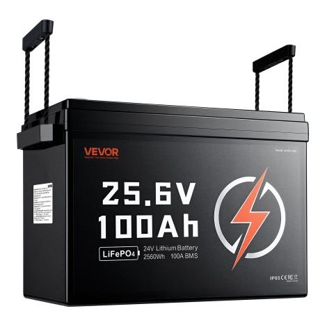 Batterie Lithium LiFePO4 24 V 100 Ah 4000+ Cycles BMS 100 A Intégré pour Camping-cars,Moteurs de Pêche Traîne,Systèmes Solaires,Connexion 8P2S,2560 Wh,Protection contre Basses Températures (1/3)