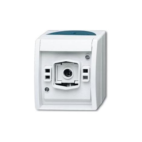 Busch-Jaeger 2661 W-53 Lichtsignal mit E 10-Gewinde (1/5)