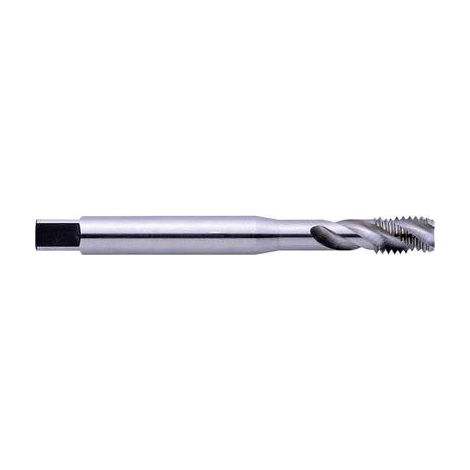 TARAUD POUR MACHINE EVENTUS BY EXACT 1610354 MÉTRIQUE M6 COUPE À DROITE HSS 1 PC(S)