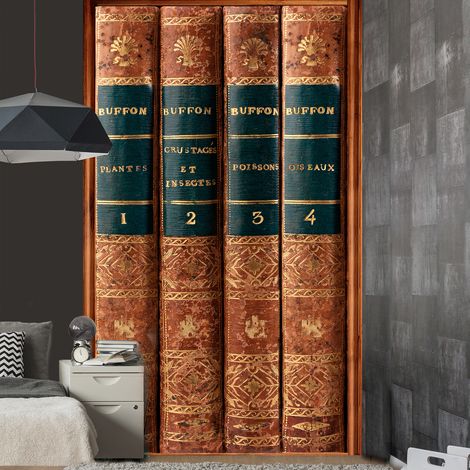 Papier peint intissé grand format 250 cm X 150 cm, photo vintage bibliothèque de livres anciens, panoramique pour décoration murale. (1/2)