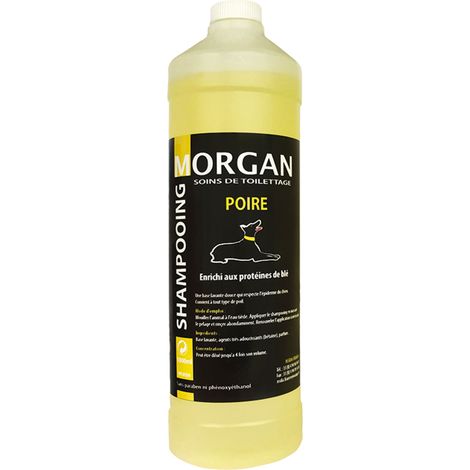 Shampoing protéiné Poire Morgan : 1L