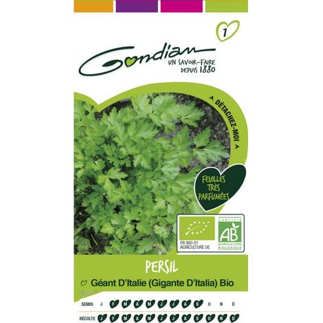 Gondian - persil geant d'Italie bio