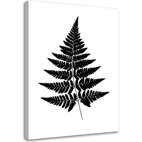 Tableau sur toile Feuille de fougère Noir Blanc Nature 40x60 (1/5)