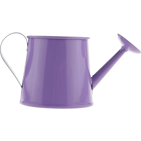 Petit arrosoir en fer vase pot de jardin plante (1/5)