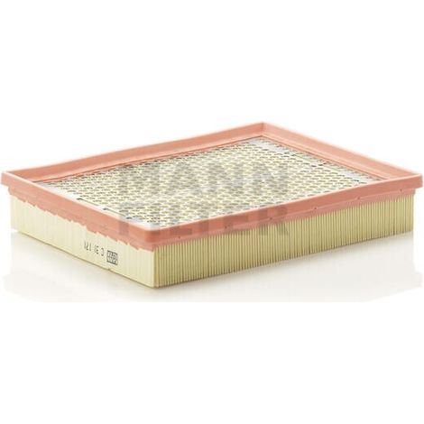 Filtre à air Mann-Filter C 30 170 CADILLAC 12786800 32016012 32019926 4080320801
