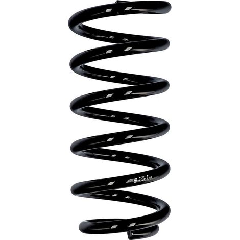 Muelle de serie Eibach ERL trasero Audi/VW R10514 (1/2)