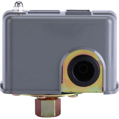 Électrique Pressostat Pompe Eau, 40-60 PSI Poteau de Ressort Réglable Double de jardin d'injection auto-amorçante (1/5)