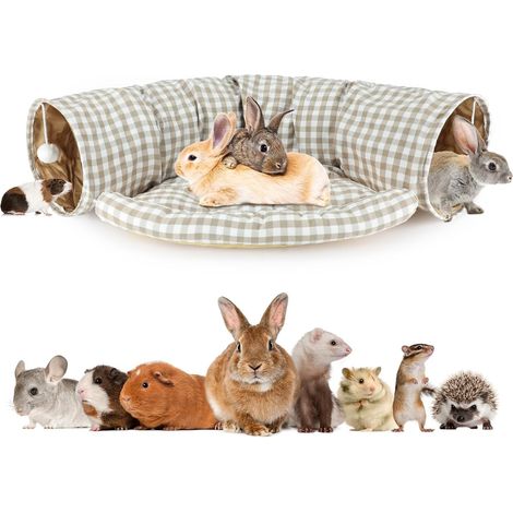 Lit tunnel pour lapin 2 en 1, tunnel rabattable avec coussin amovible (1/5)