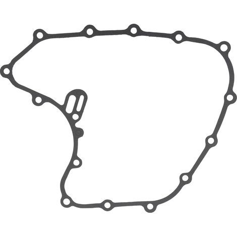 DTEKGAZ - GOOFIT Dichtungen für KTM RC390 / Duke 390 (2014-2021) Zündungsreparaturset für Einzylinder-Motorräder