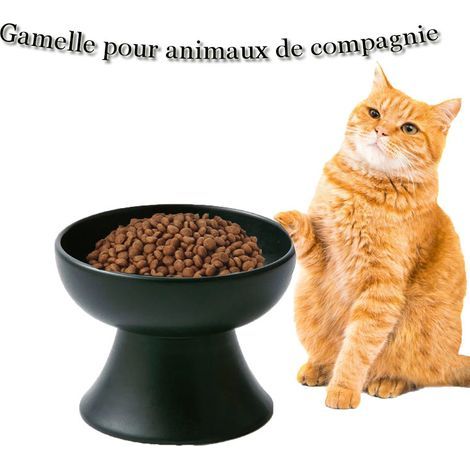 Rwoythk – Bol en céramique surélevé pour animaux – Antidérapant – Confort optimal pour chats et chiens – Réduit la fatigue du cou (1/5)