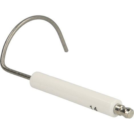 Electrode d'ionisation