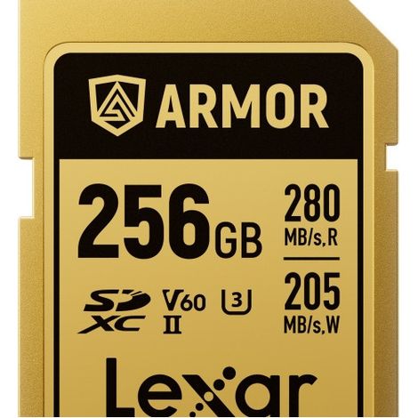 Carte mémoire LEXAR SDXC PRO GOLD ARMOR 256 V 60 (1/3)