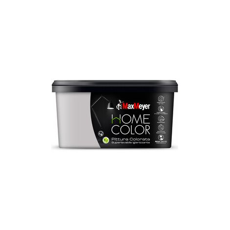 HOME COLOR SUPERLAVABILE  2,5L SILVER