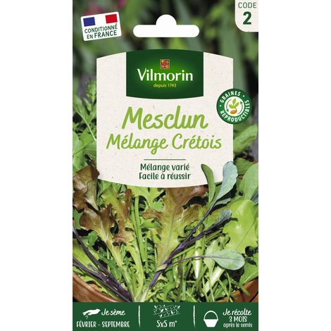 Mesclun Crétois en mélange Vilmorin (1/2)