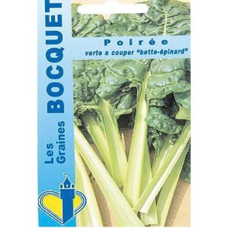 Poirée 'Verte à couper' le sachet de 100 graines environ