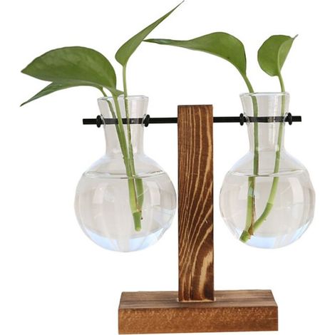 Station propagation plantes B terrarium bureau pot verre avec support (1/5)