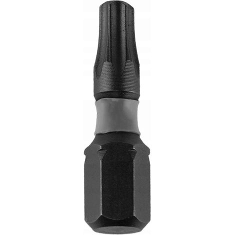 Jeu de 2 embouts à chocs Torx 40x25 mm
