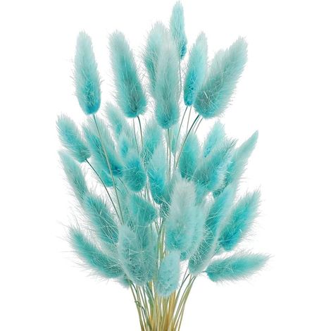 Herbe De Pampa - Fleurs Séchées Naturelles - 50 Pièces - Hauteur Environ 40 Cm - Couleur Bleu Tiffany Clair - Décoration Intérieure Bohème Pour Maison Mariage Fête (1/5)