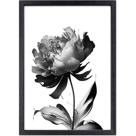 Lupia - Quadro Moderno in legno mdf con Cornice OPTICAL in Legno Sottile Nera BLACK PEONY 52x72 cm, Poster con Frasi motivazionali, decorazione arredo Casa, Ufficio, Regalo, Pronto da Appendere (1/4)